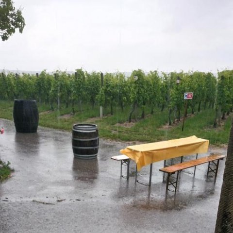 Weingenuss am Staufenberg